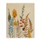 Stupell Industries Autumnal Wild Plants Canvas, design by Elizabeth Medley